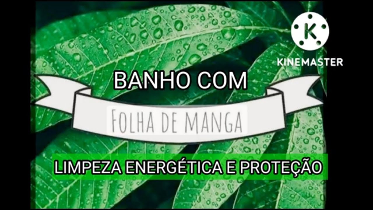 BANHO COM FOLHAS DE MANGA 🥭 P/ LIMPEZA ENERGÉTICA E PROTEÇÃO 🙏