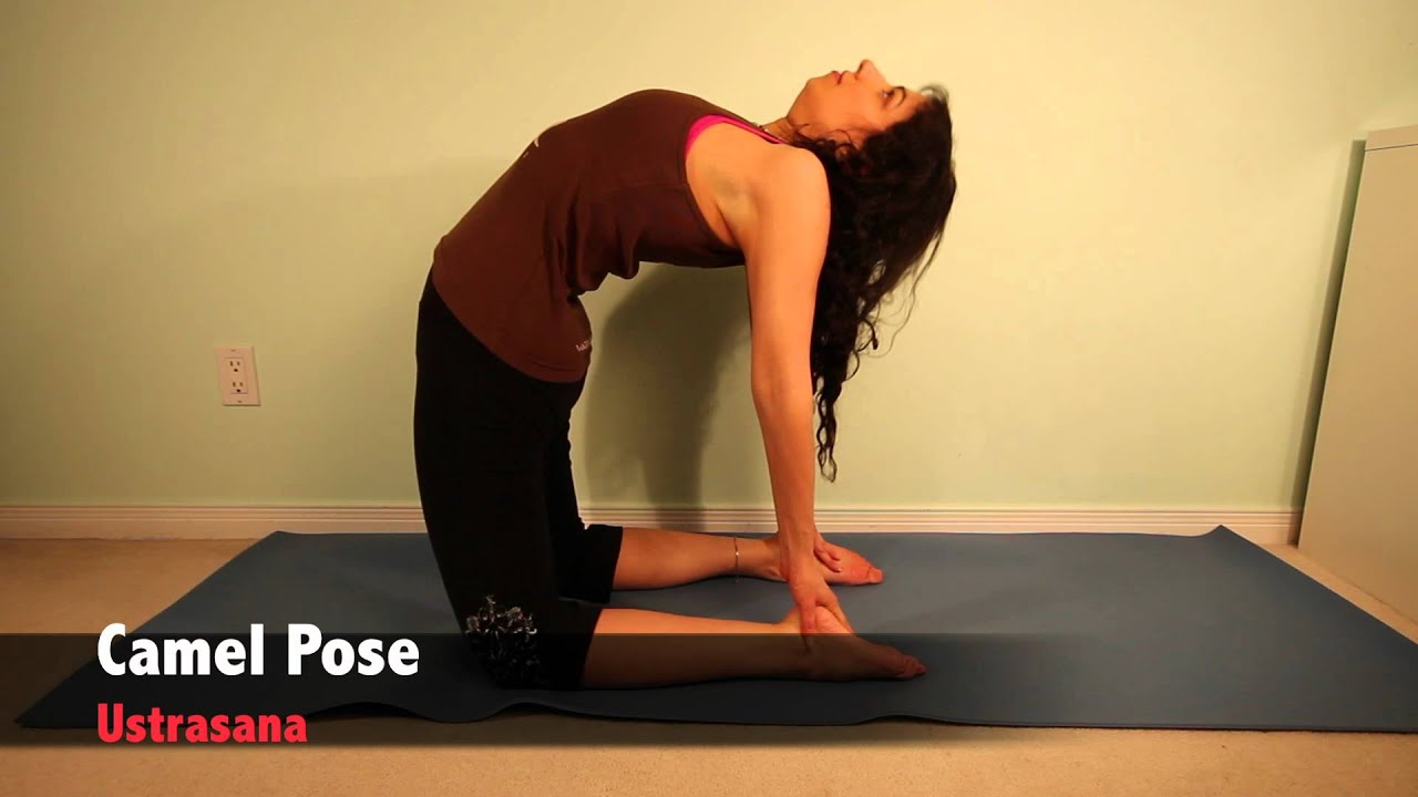 Top 10 Favorite Yoga Postures - LexiYoga