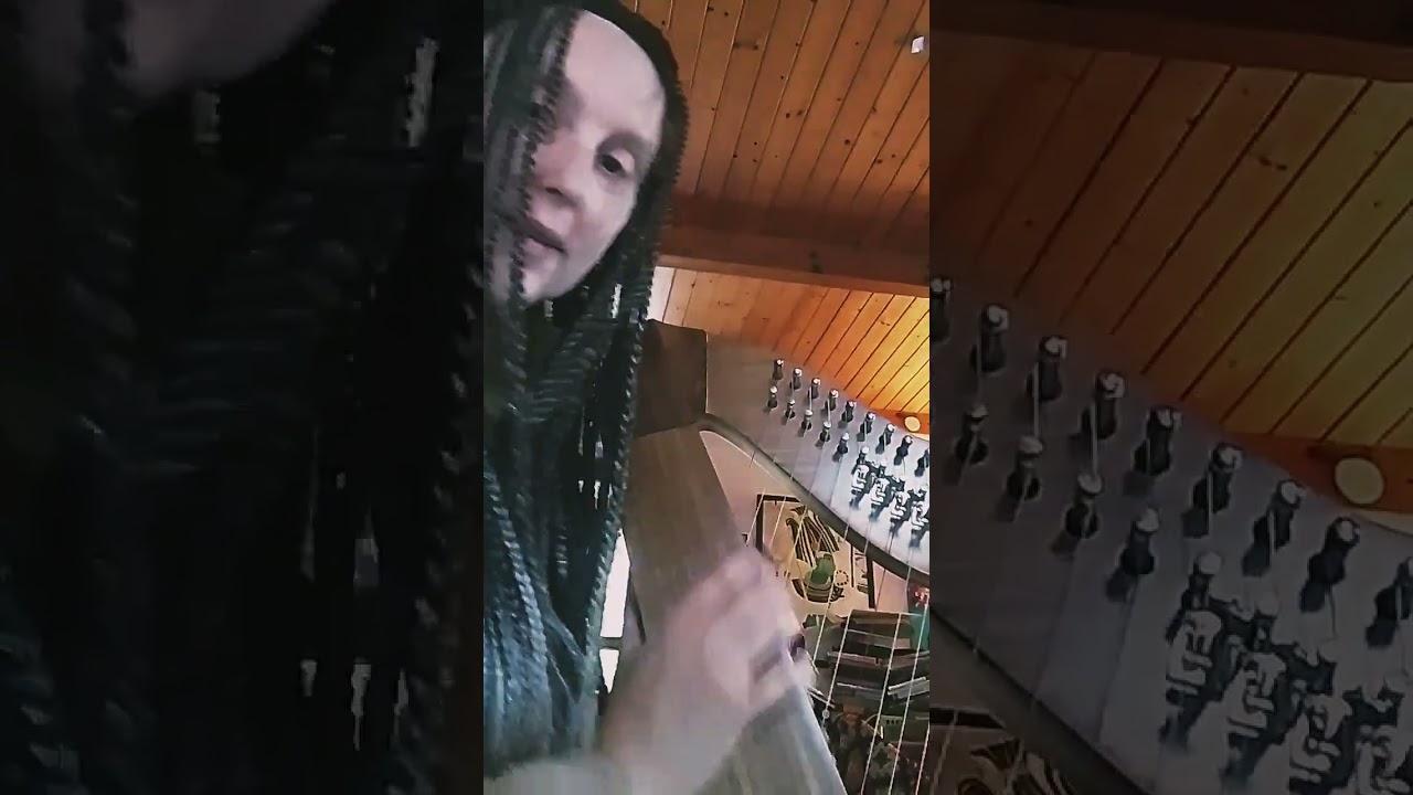 💜ALLA FINE L'HO CHIAMATA ANDROMEDA🌌🎶 #EnricaMerloLyre_Harp #enricamerlow #celticharp #29strings