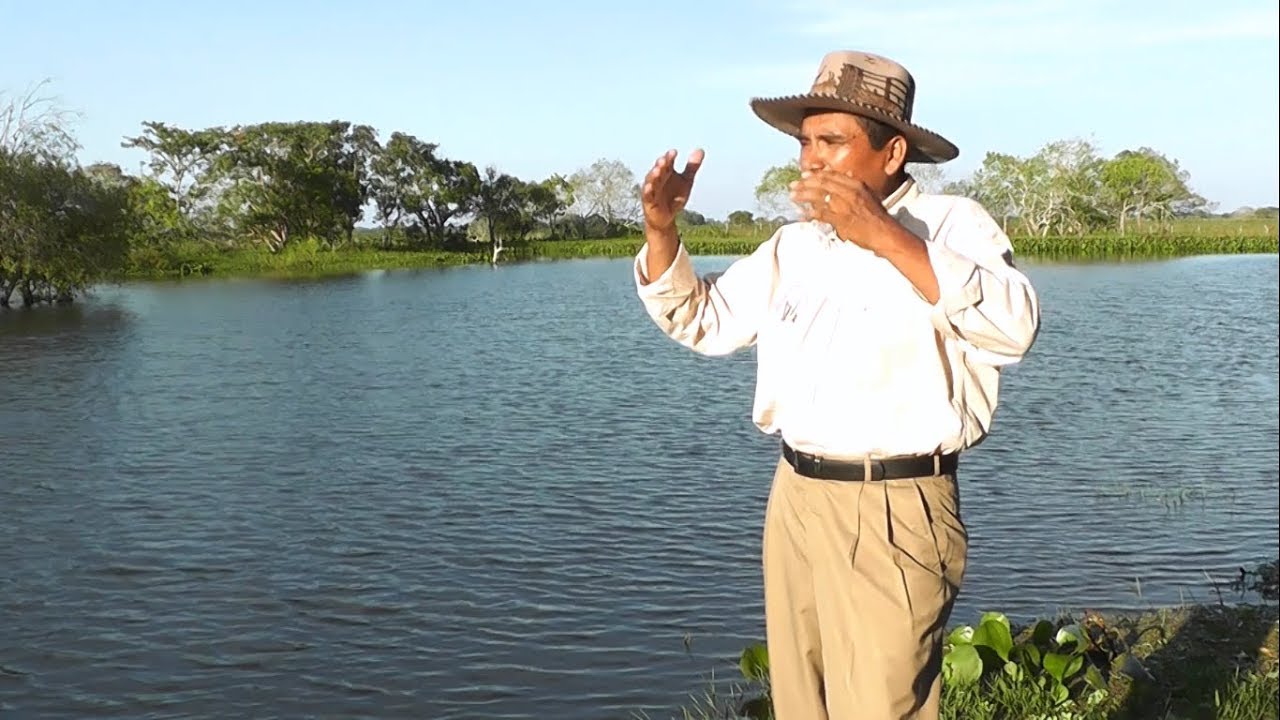 El tacaño - Omar Sibo