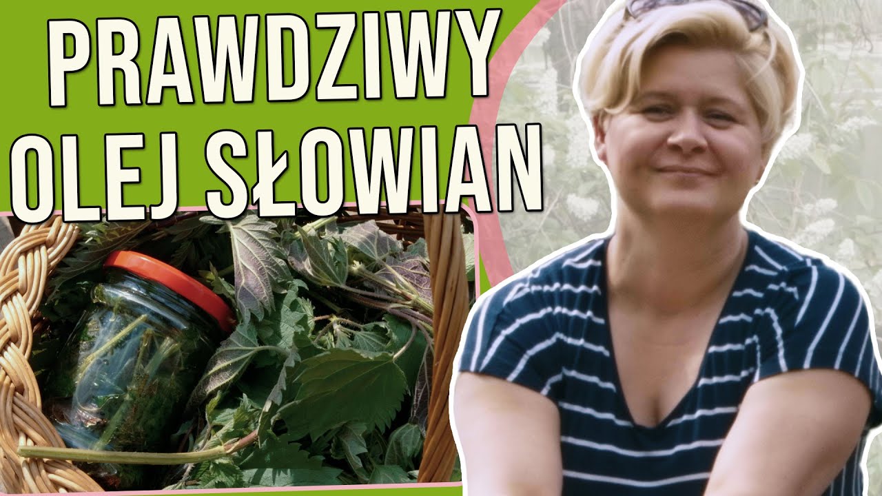 OLEJ SŁOWIAN CZYLI MACERAT Z POKRZYWY