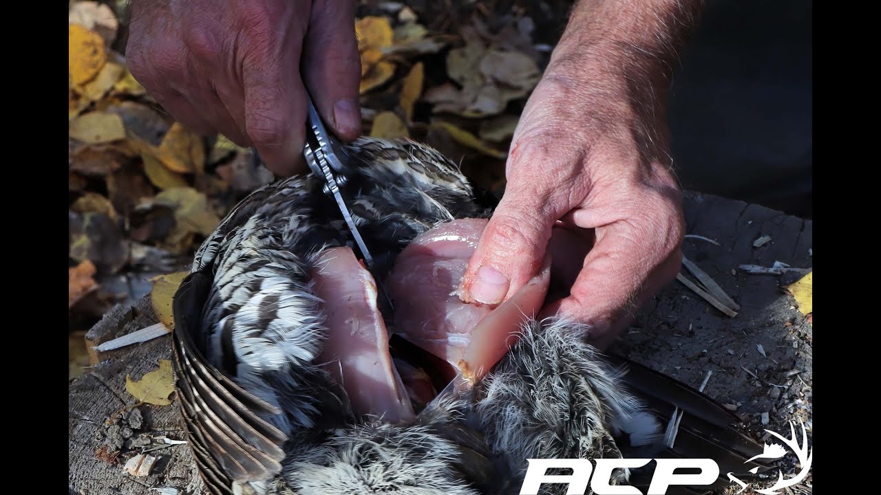 Pourvoirie du Lac Cyprès Chasse aux petits gibiers