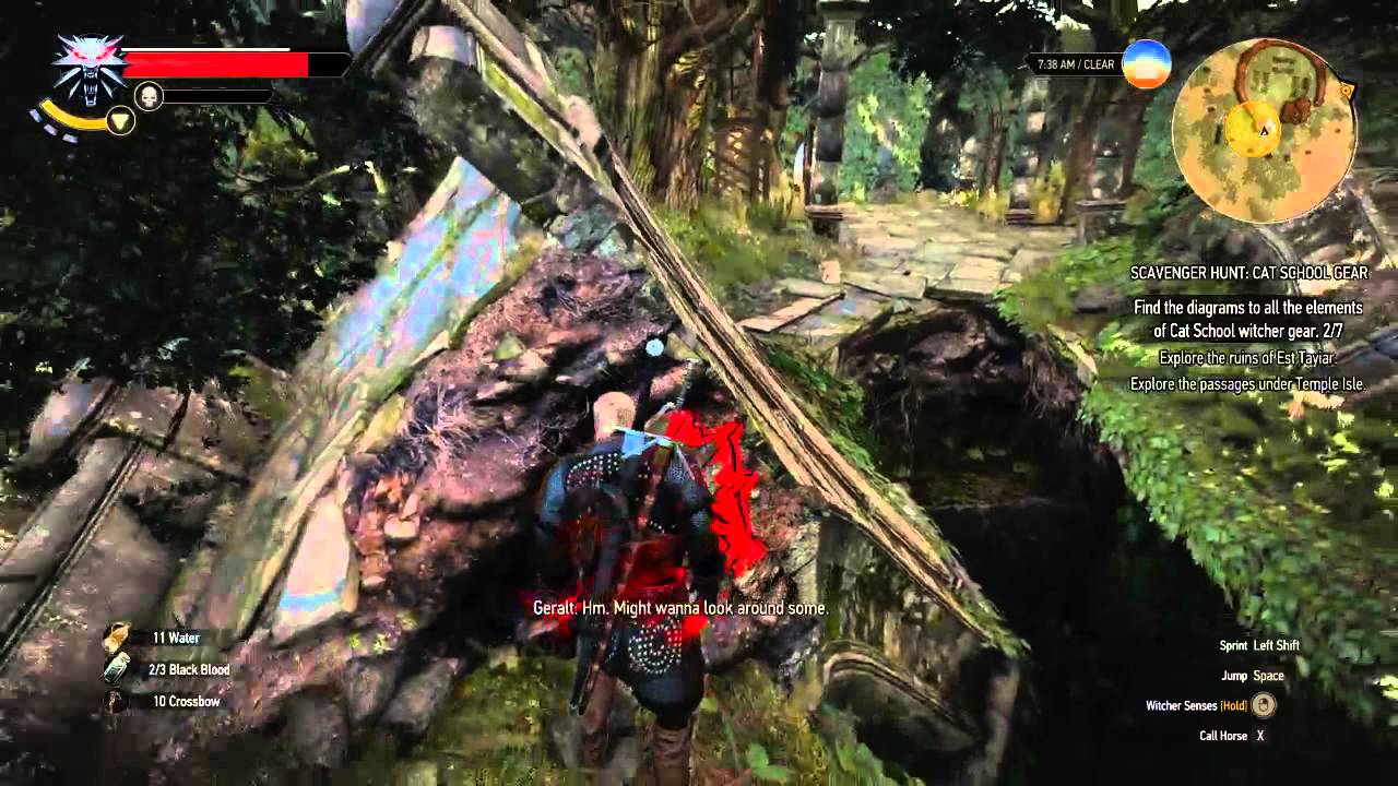 Witcher 3 : the Wild Hunt; Cat School Gear est tayiar