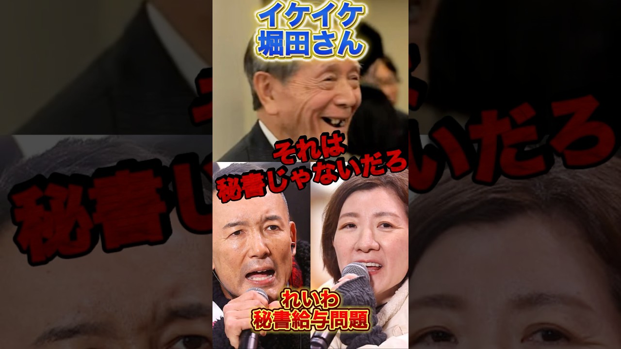 【れいわ】VSフリーホッター。秘書給与問題に切り込む#政治 #れいわ新選組 #フリーホッター#堀田記者