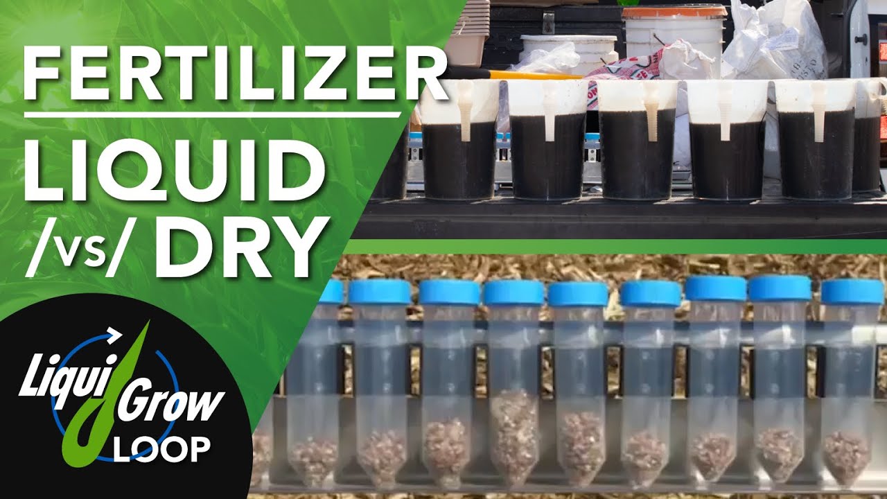 Liquid Vs Dry Fertilizer: In Field Comparison