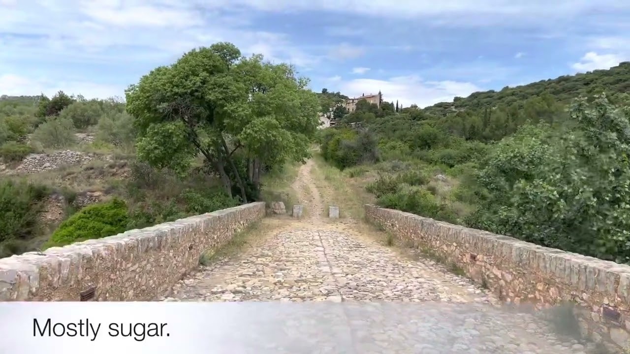 Day 22 - Saint-Guilhem-le-D&eacute;sert to Saint-Jean-de-la-Blaqui&egrave;re