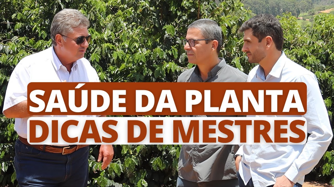 Saúde da planta, dicas de mestres