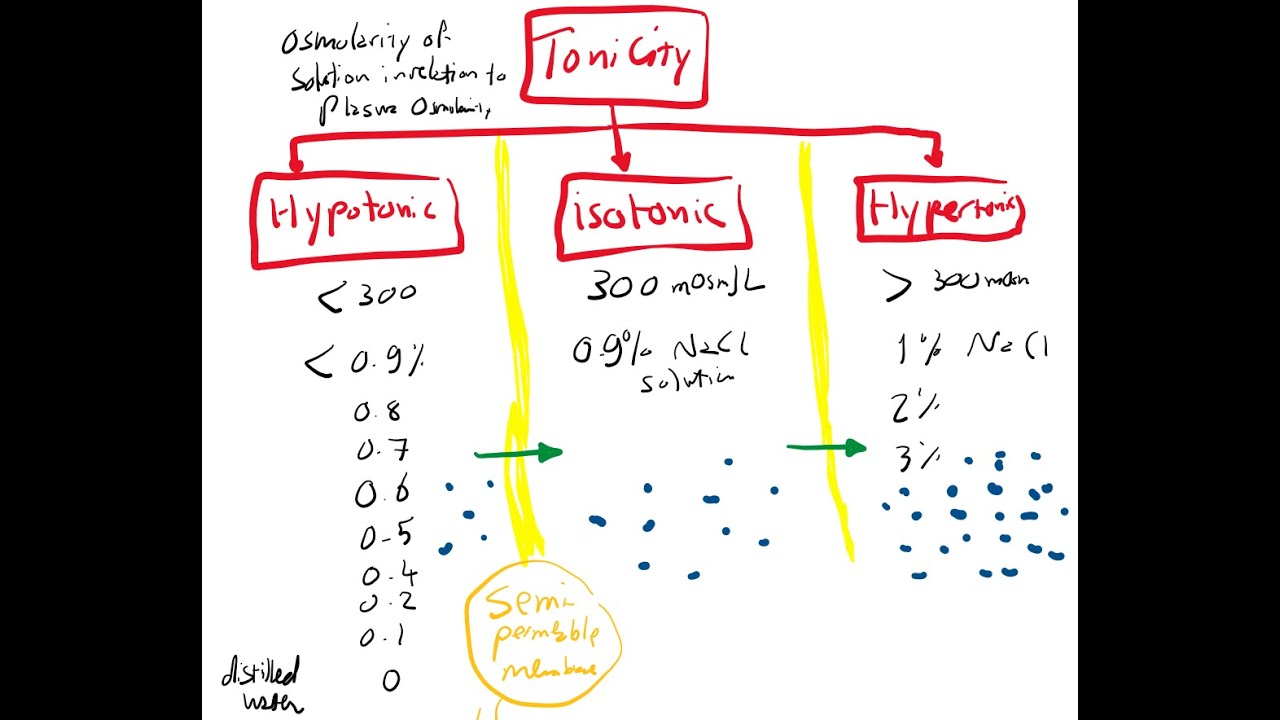 Osmolarity, Tonicity & Osmotic fragility test