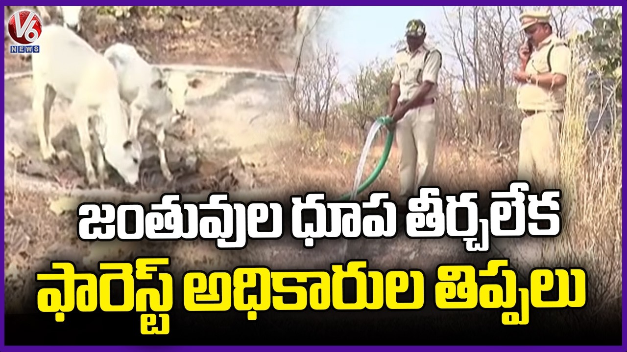 Forest Department Struggles With Fund Shortage to Maintain Water Sources for Animals | V6 News