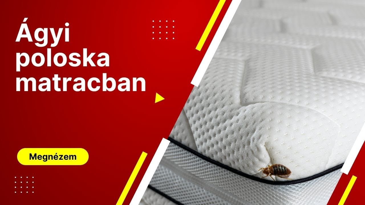 Ágyi poloska matracban, irtása azonnali eredménnyel - soskartevostop.hu