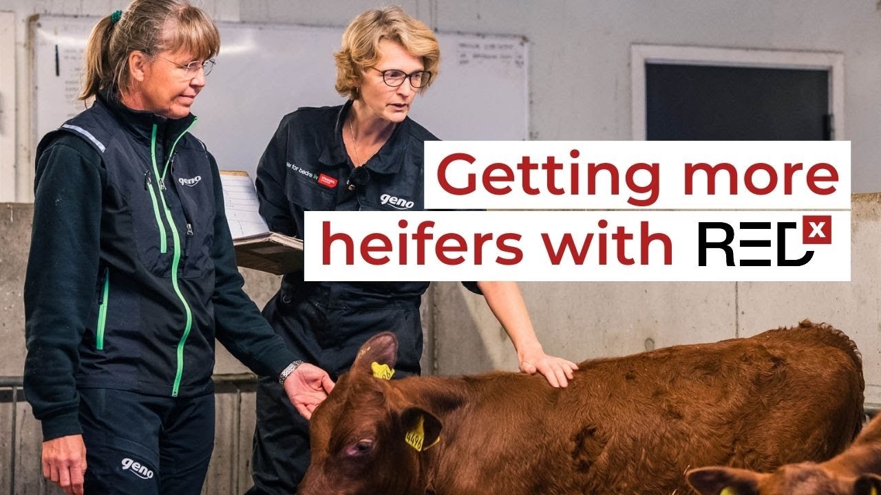 Farmer story: Kari Lise Breivik talks about REDX