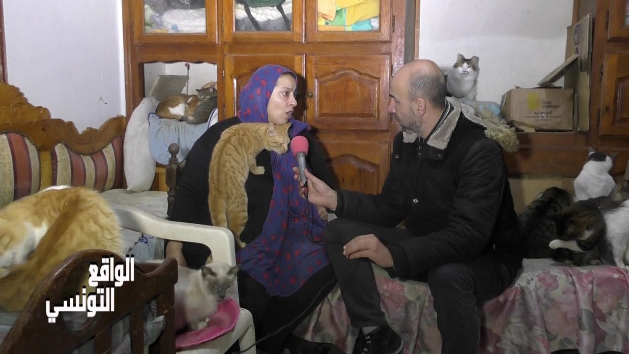 امرأة تونسية  تعيش مع 300 قطاً و4 كلباً ...أنا مهددة بطرد من منزل ميحبوش يكرولي دار