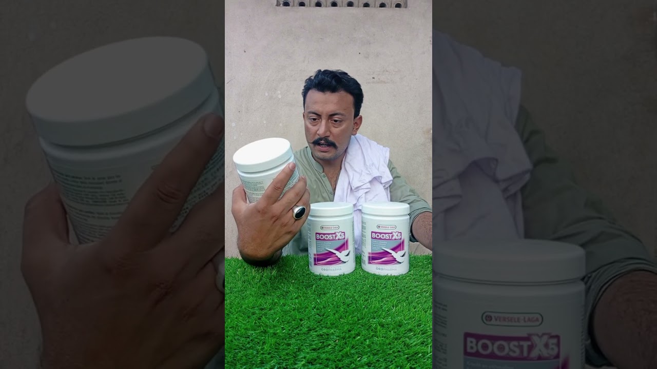 Boost X5 Best For Pigeons Long Flights #Boostx5 #longflight #pigeon #youtubevideo