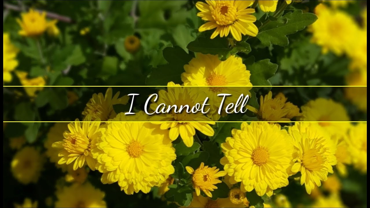 Christian Song w/ Lyrics: I Cannot Tell by Nebblett Family
