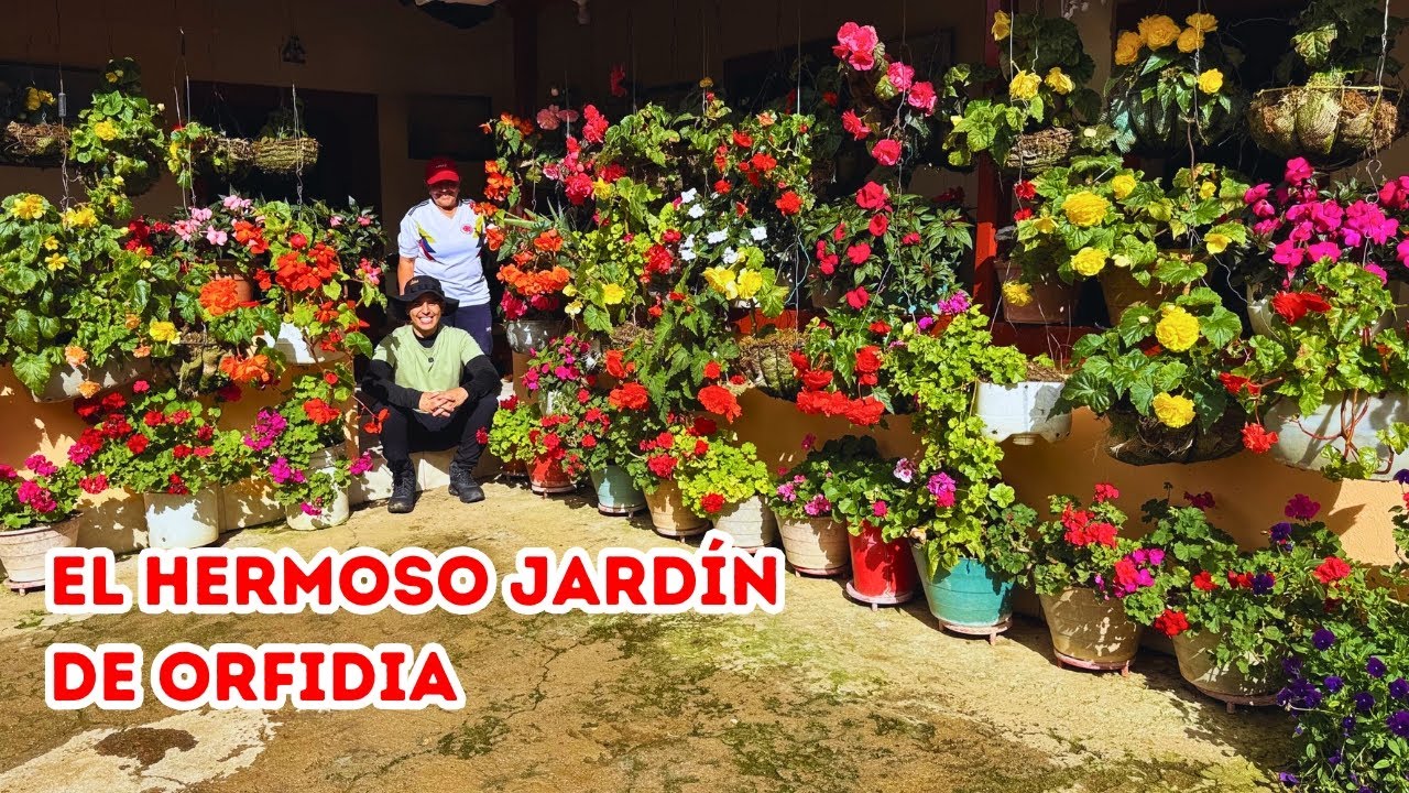 La BOMBA VERDE, casi nadie la conoce y hace florecer PLANTAS SECAS |AP