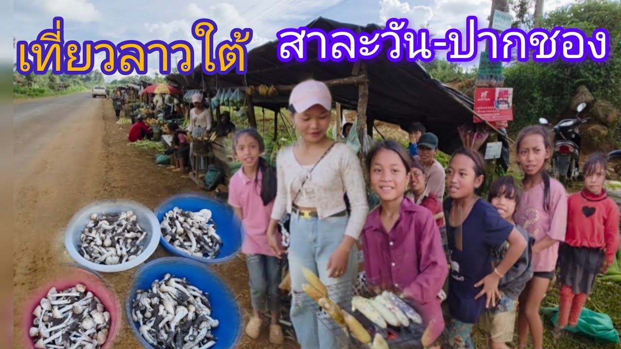 #เที่ยวลาวใต้ #วิถีชาวบ้าน สาละวัน-ปากชองแดนงาม ขายอาหารการเกษตร ข้าวโพดจี่ แตงใหญ่ #สาวลาว #สปปลาว