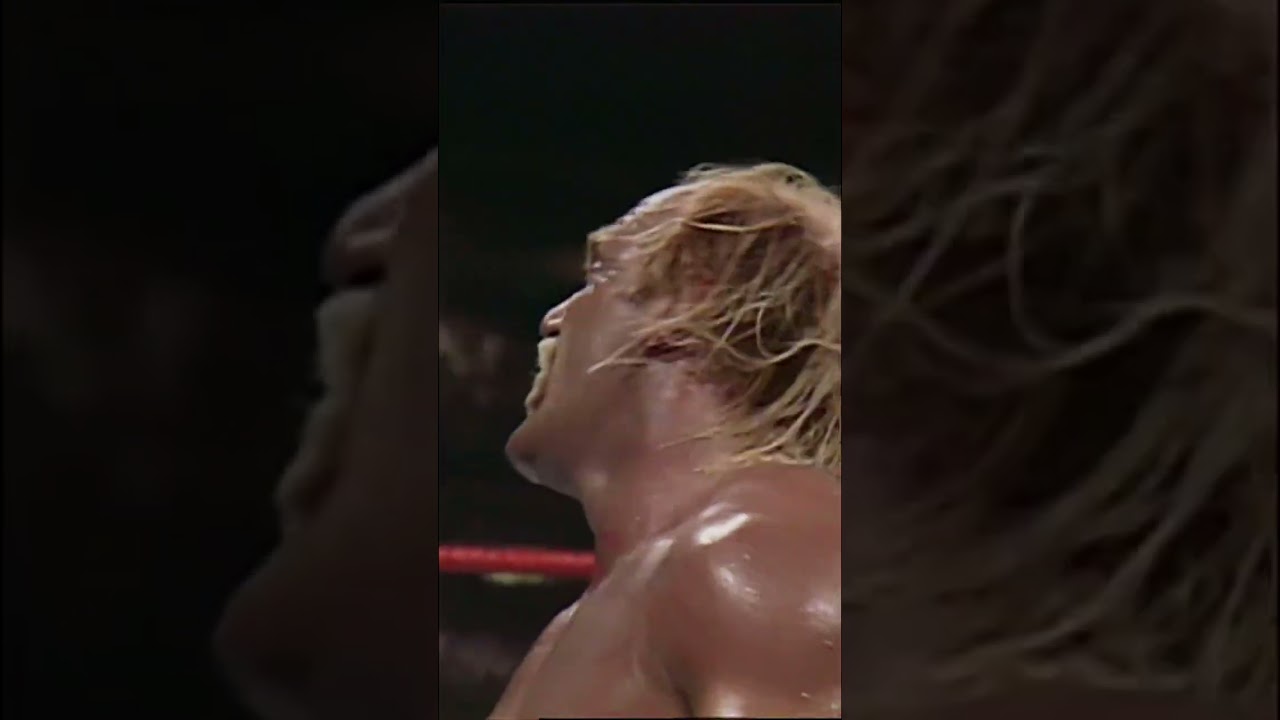 Adi&oacute;s a Hulk Hogan