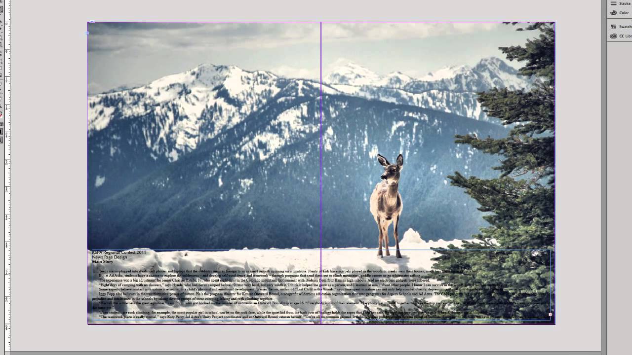 Creating text boxes in InDesign