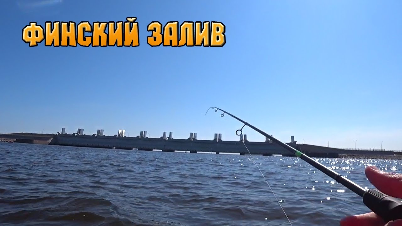 РЫБАЛКА НА СУДАКА И ОКУНЯ У СТВОРОВ ФИНСКОГО ЗАЛИВА С ЛОДКИ. ОБКАТКА МОТОРА TOYAMA TC 3.6 BMS 2023