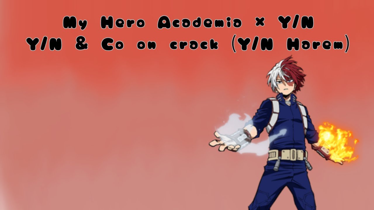 Y/N x My Hero Academia | Y/N & Co on crack | Y/N Harem