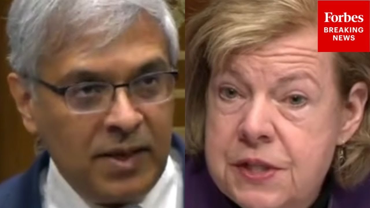 'I Don't Want To Get Into An Analysis!': Baldwin Spars With Bhattacharya Over NIH Grants