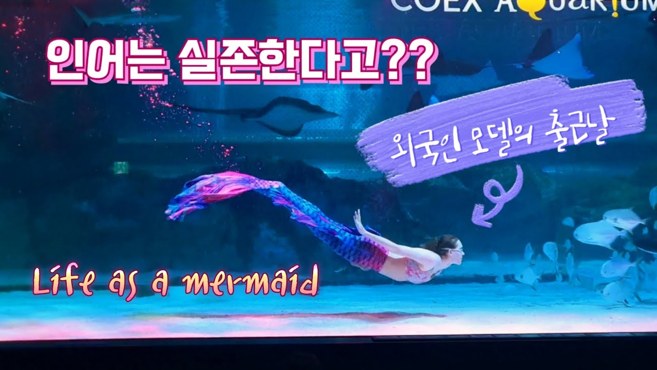 [국제부부] 아쿠아리움에 출근하는 외국인 인어? - A typical day in the life of a model and mermaid in Korea
