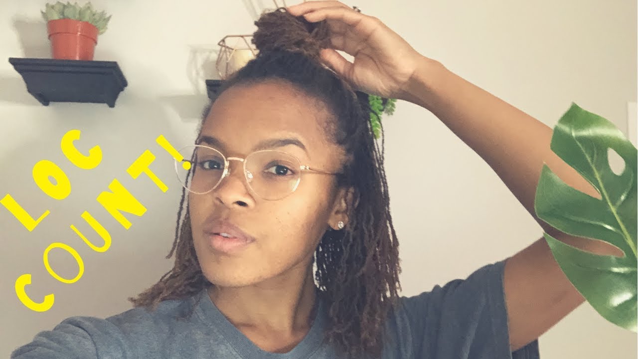 REcounting my braidlocks !
