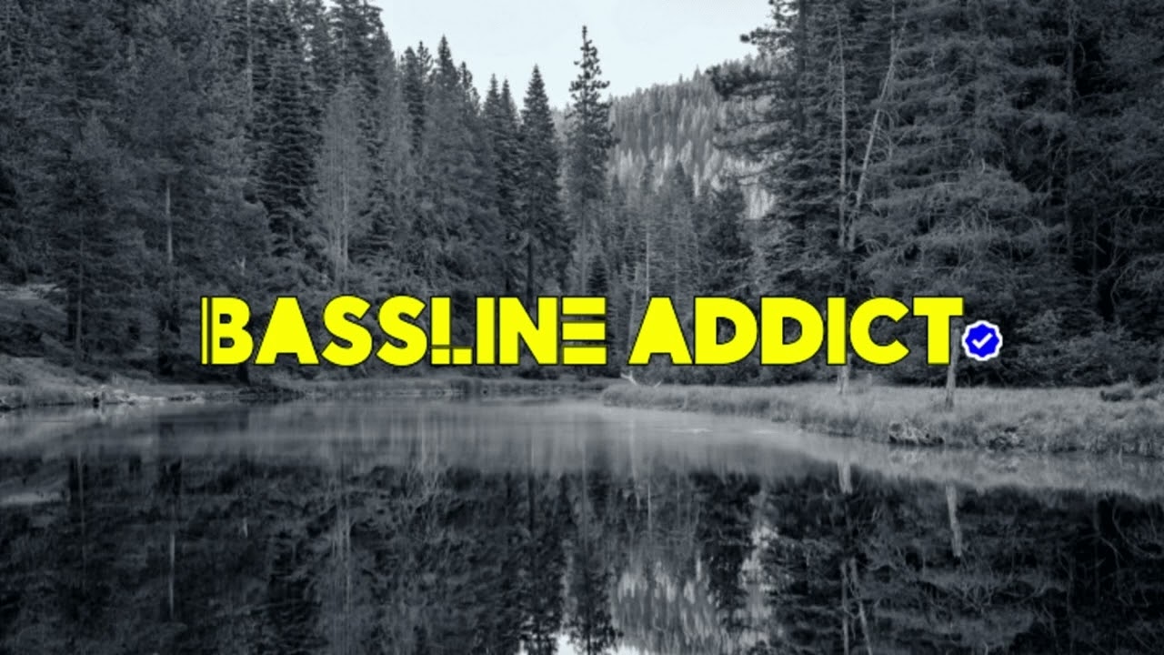 Stinga - Bassline Madness│BasslineAddict