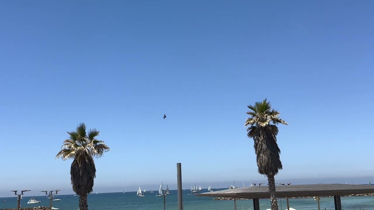 מטס 2023 F-35