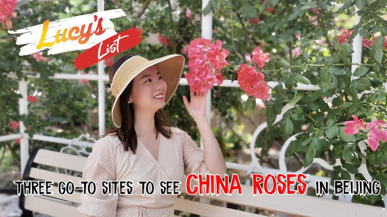 Three go-to sites for flower lovers in Beijing