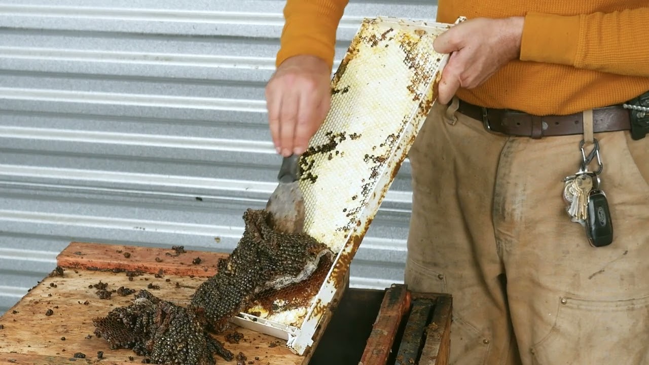 How to Clean Plastic Beehive Frames & Foundation with The Wax Extractor