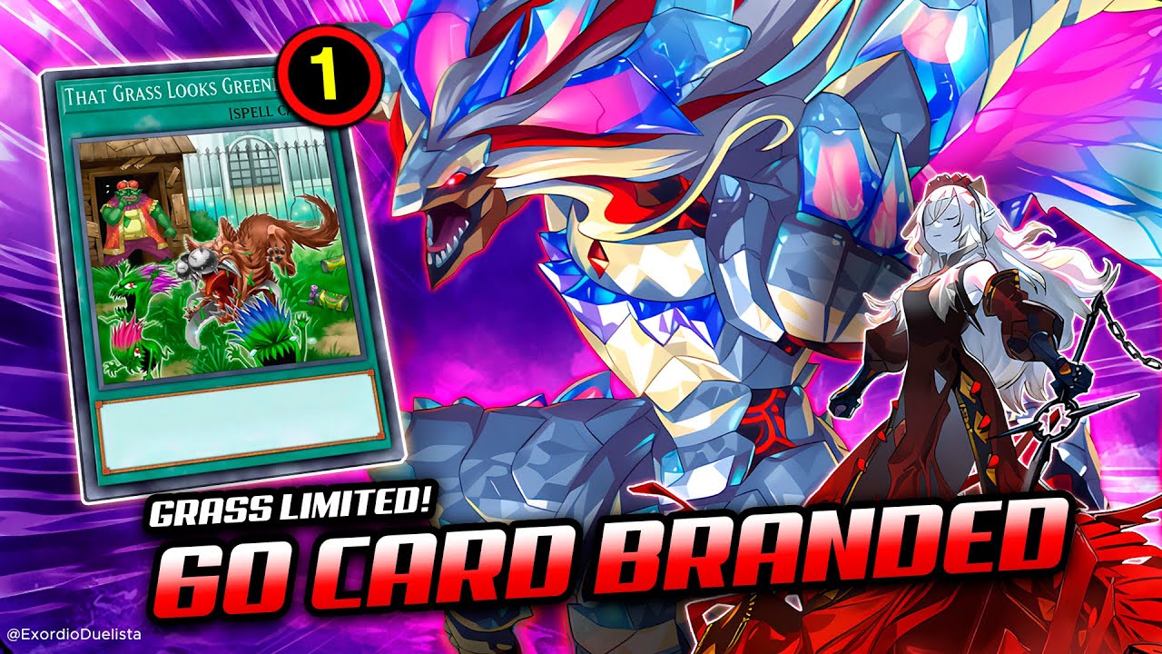 Deck 60 CARD BRANDED Post September 2024 BANLIST❗ | Replays & Analysis 📈 (GRASS IS BACK❗)