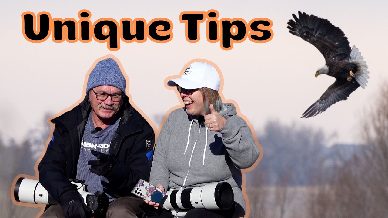 11 Wildlife Photography Tips You Haven't Seen Elsewhere