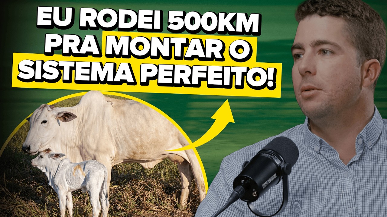 CRIAR GADO SEM MÃO DE OBRA? FOI ASSIM QUE EU FIZ! - MF CAST #72