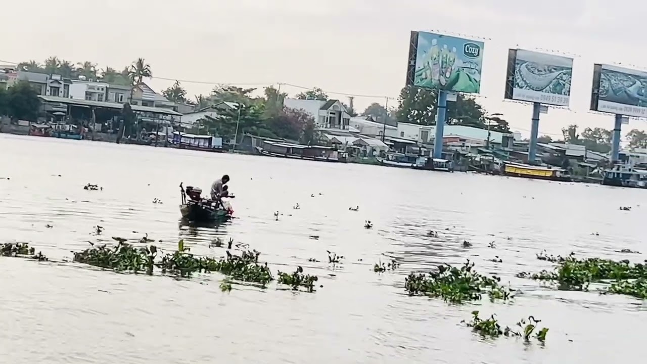 Thu Lưới Trên Bến Ninh Kiều👍