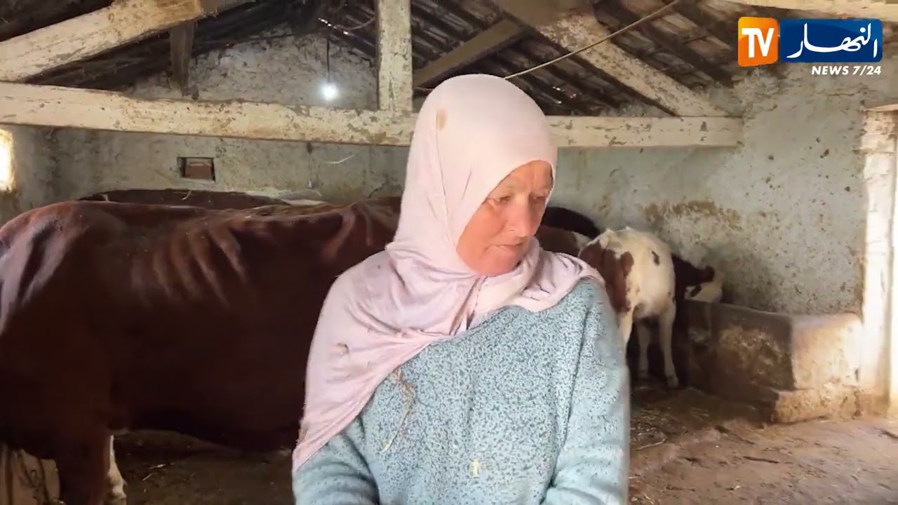 سوق أهراس : آسيا.. إمرأة ريفية تصنع من الأرض قصة كفاح وإصرار
