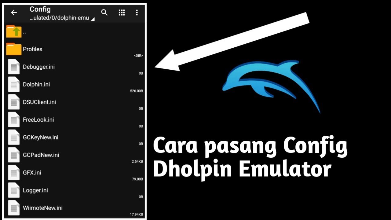 Cara Pasang Config Dolphin Emulator Yang Gua Pake