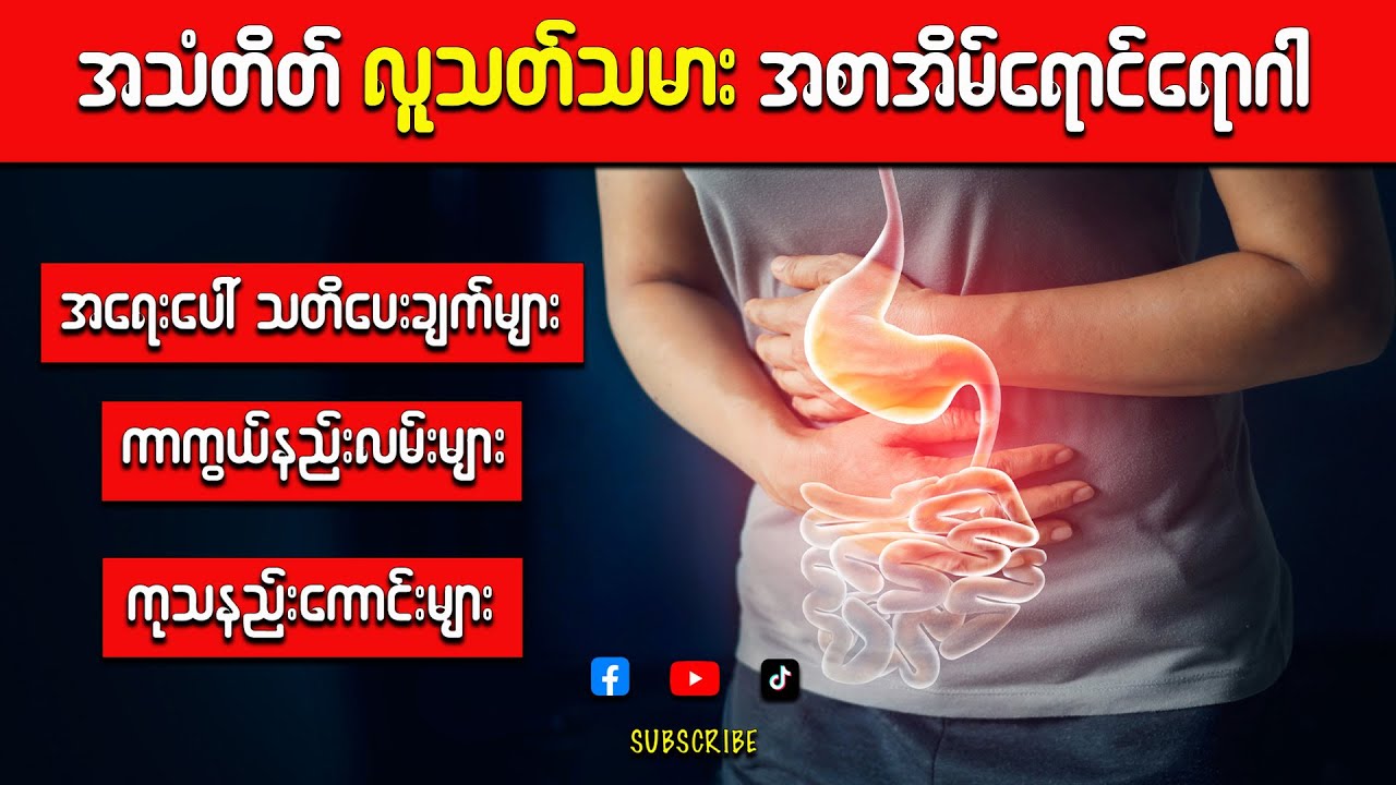 အစာအိမ်ရောင်ရောဂါ အမြန်ပျောက်စေမယ့် နည်းလမ်းကောင်းများ (ကင်ဆာဖြစ် သွားနိုင်တဲ့ အစာအိမ်ရောင်ရောဂါ)
