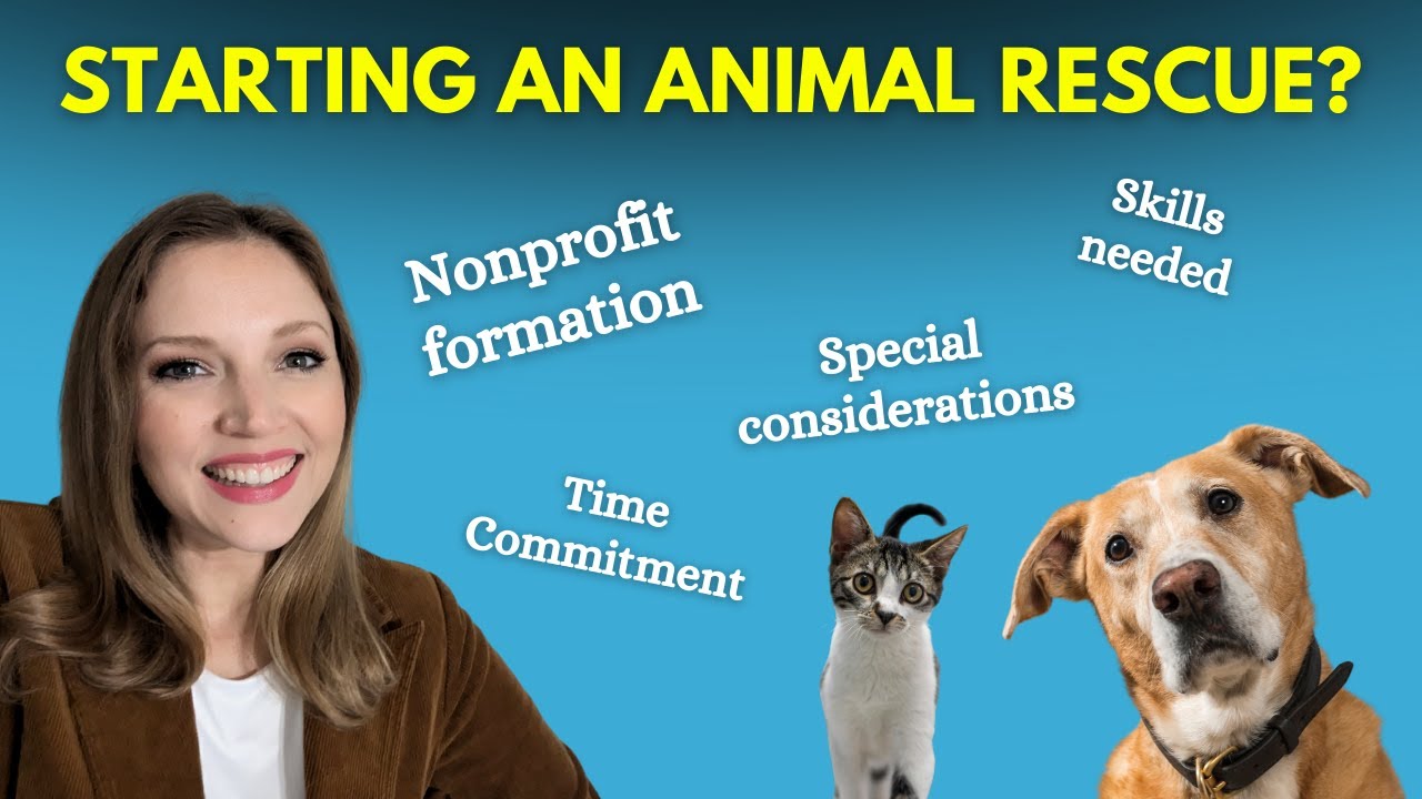 Starting an Animal Rescue Nonprofit: Stuff to think about as you start