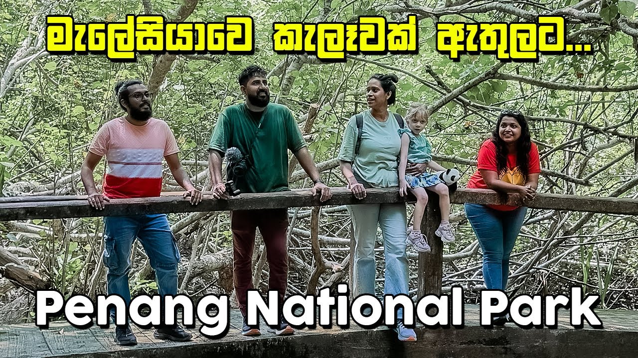 බලහත්කාරෙන් එක්කන් ගිය කැලෑ ගමන | Penang National Park | Malaysia - VLOG 316