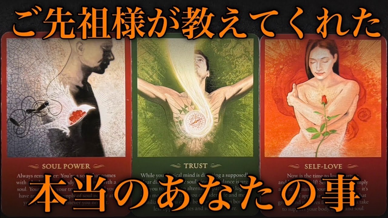 【感動🥹】ご先祖様が教えてくれました❗️本当のあなたの事です‼️😌怖いほど当たる✨人生が変わるオラクルカードリーディング✨占い✨スピリチュアル✨