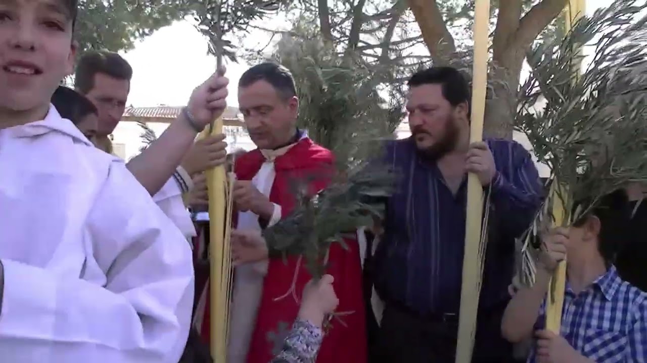 Domingo de Ramos 13-04-2014