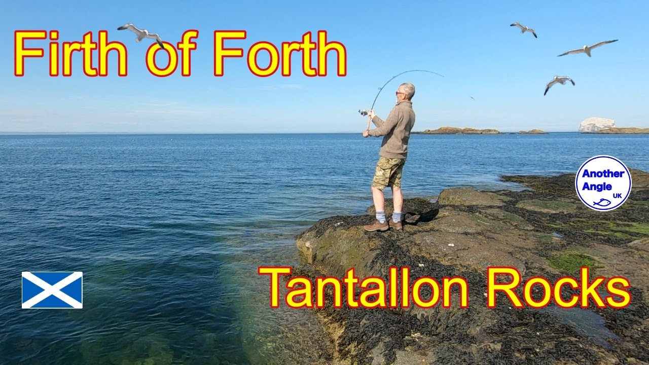 FIRTH OF FORTH : North Berwick Tantallon Rocks :  Bass Rock : Sea Fishing Scotland