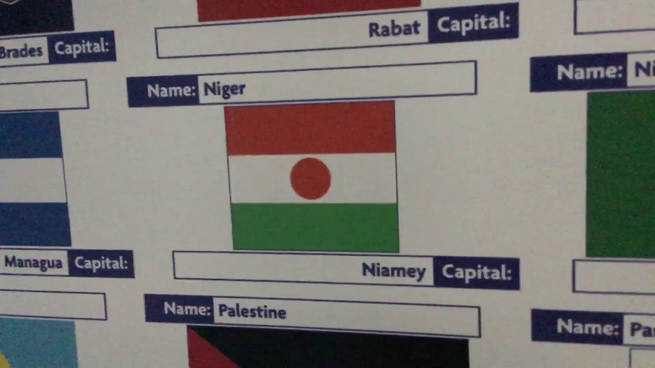 Niger 🇳🇪 / La Nigerienne