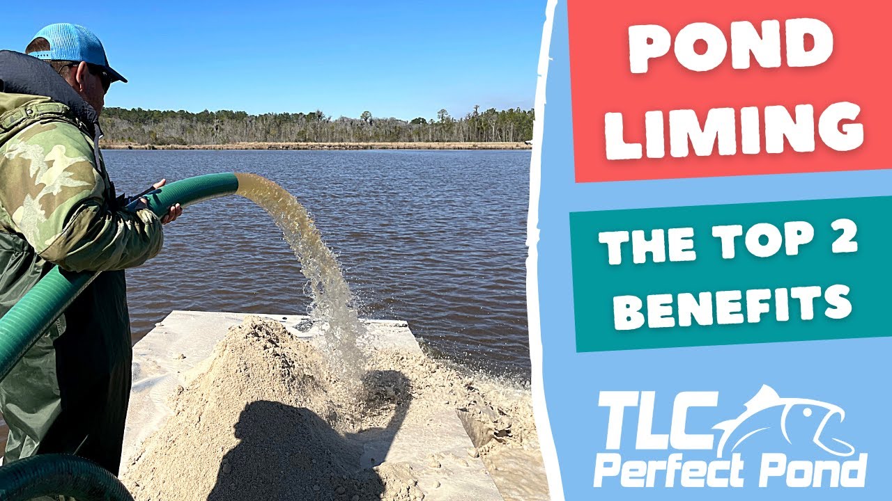 The TOP 2 BENEFITS of Adding Lime to Your Pond