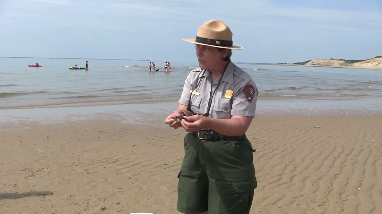 Intertidal Zone Instructional Video- CAPE COD NATIONAL PARK SEASHORE