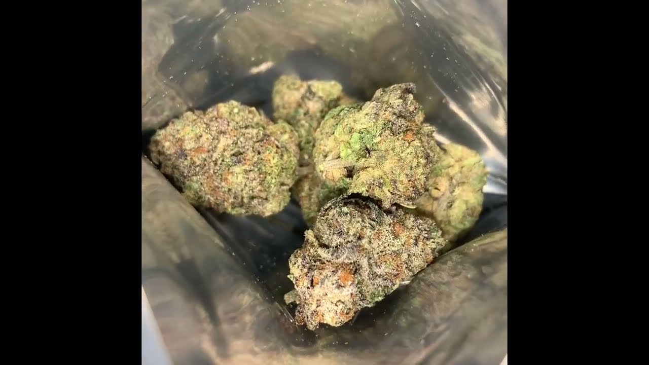 Gelato Pie Strain Review