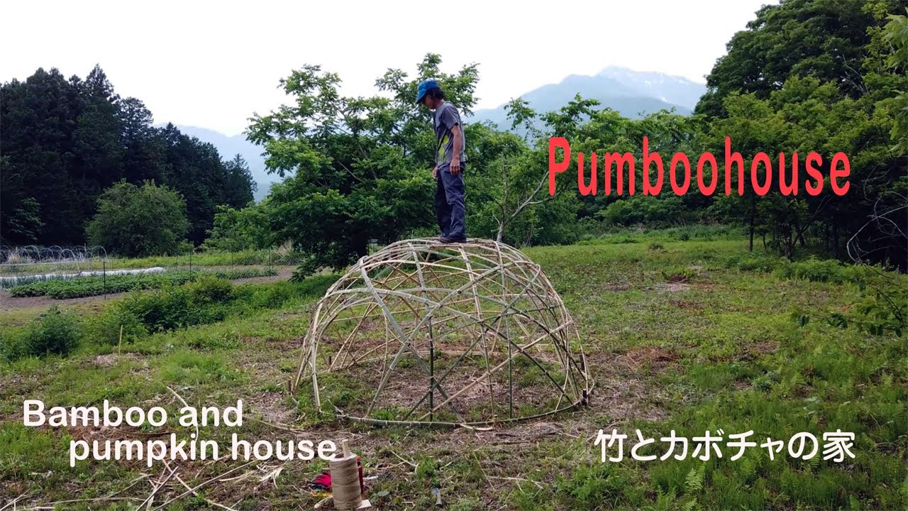 Pumboohouse