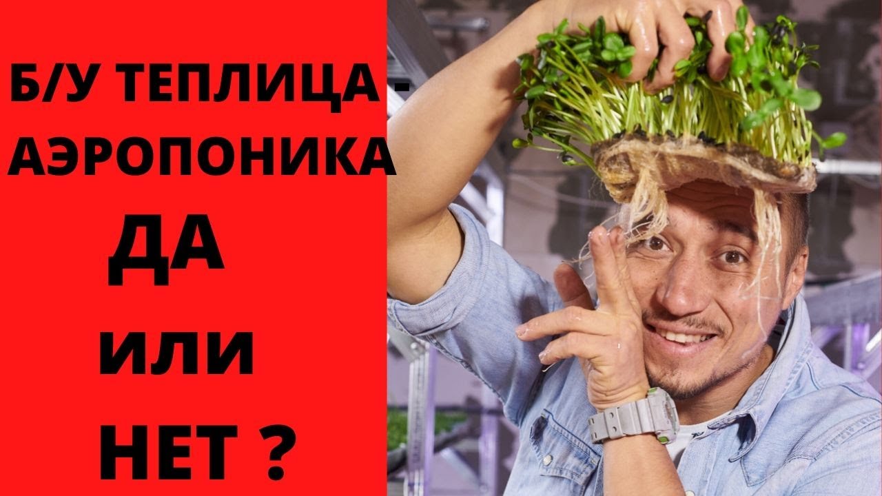 Теплица Гидропоника  Аэропоника  Да или Нет ?