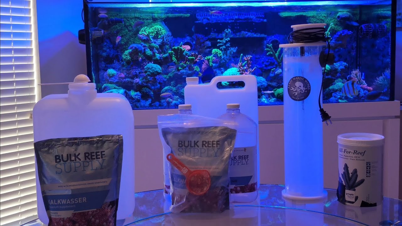 How I Dose My Reef Tank